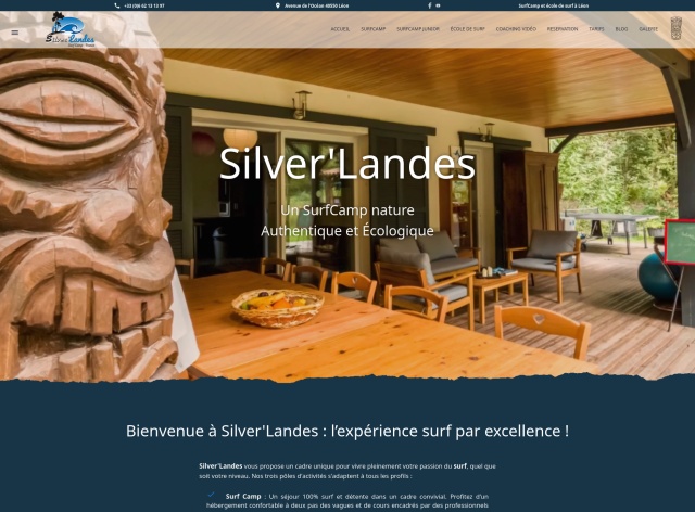 Illustration Silver'Landes de Nouveau site en ligne !